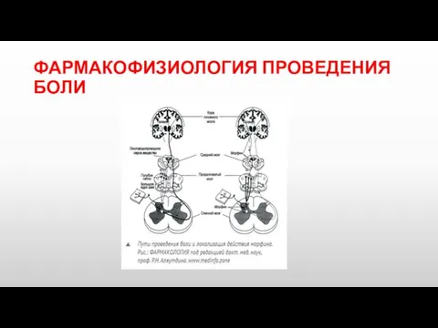 ФАРМАКОФИЗИОЛОГИЯ ПРОВЕДЕНИЯ БОЛИ