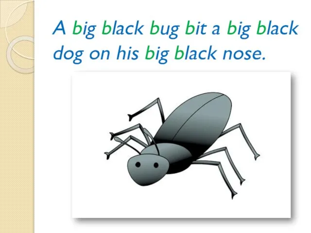 A big black bug bit a big black dog on his big black nose.