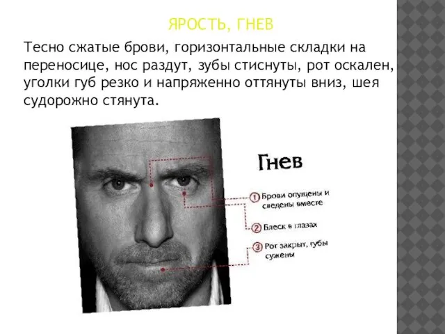 ЯРОСТЬ, ГНЕВ Тесно сжатые брови, горизонтальные складки на переносице, нос раздут, зубы