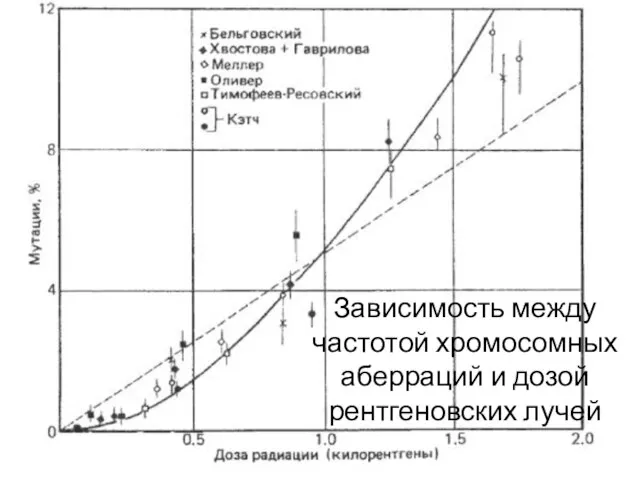 Зависимость между частотой хромосомных аберраций и дозой рентгеновских лучей