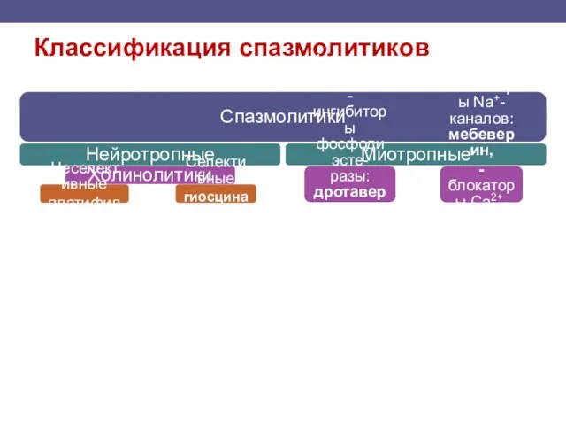 Классификация спазмолитиков Спазмолитики Нейротропные Холинолитики Неселективные платифиллин Селективные гиосцина бутилбромид Миотропные Неселективные