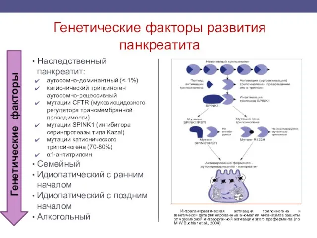 Генетические факторы развития панкреатита Наследственный панкреатит: аутосомно-доминантный ( катионический трипсиноген аутосомно-рецессивный мутации