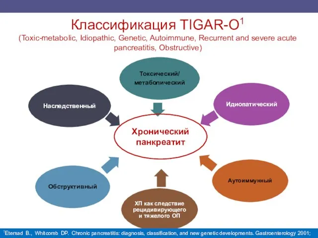 Классификация TIGAR-O1 (Toxic-metabolic, Idiopathic, Genetic, Autoimmune, Recurrent and severe acute pancreatitis, Obstructive)