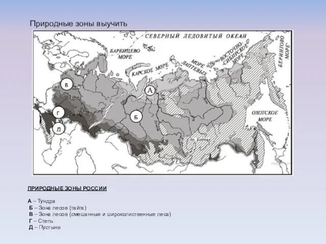 Природные зоны выучить ПРИРОДНЫЕ ЗОНЫ РОССИИ А – Тундра Б – Зона