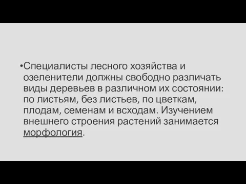 Специалисты лесного хозяйства и озеленители должны свободно различать виды деревьев в различном