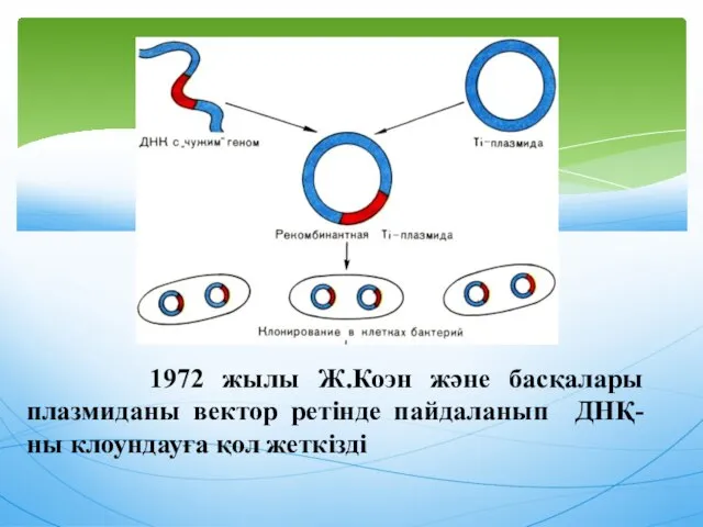 1972 жылы Ж.Коэн және басқалары плазмиданы вектор ретінде пайдаланып ДНҚ-ны клоундауға қол жеткізді