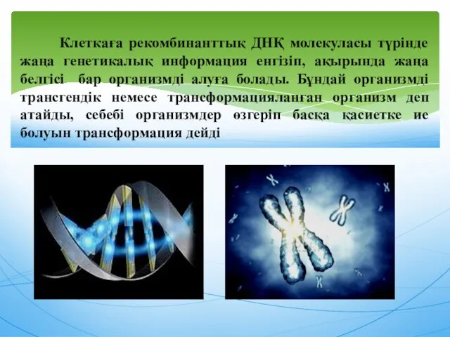 Клеткаға рекомбинанттық ДНҚ молекуласы түрінде жаңа генетикалық информация енгізіп, ақырында жаңа белгісі