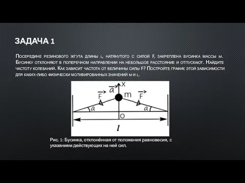 ЗАДАЧА 1 Посередине резинового жгута длины l, натянутого с силой F, закреплена