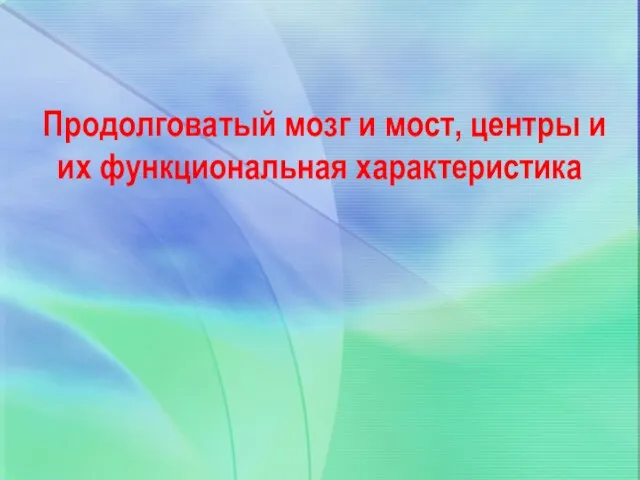 Продолговатый мозг и мост, центры и их функциональная характеристика