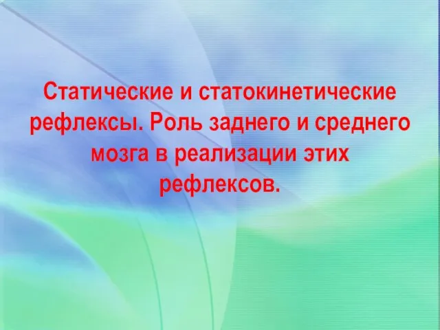 Статические и статокинетические рефлексы. Роль заднего и среднего мозга в реализации этих рефлексов.