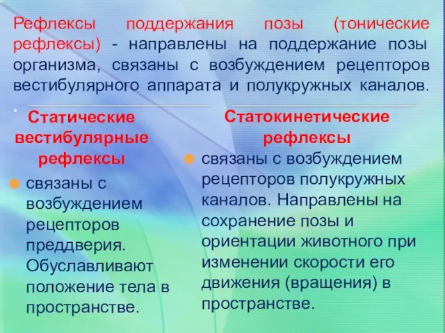 Рефлексы поддержания позы (тонические рефлексы) - направлены на поддержание позы организма, связаны