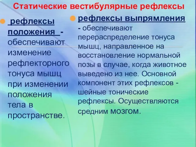 Статические вестибулярные рефлексы рефлексы положения -обеспечивают изменение рефлекторного тонуса мышц при изменении