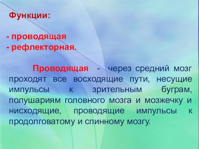 Функции: проводящая рефлекторная. Проводящая - через средний мозг проходят все восходящие пути,