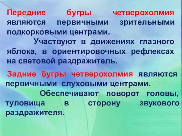 Передние бугры четверохолмия являются первичными зрительными подкорковыми центрами. Участвуют в движениях глазного