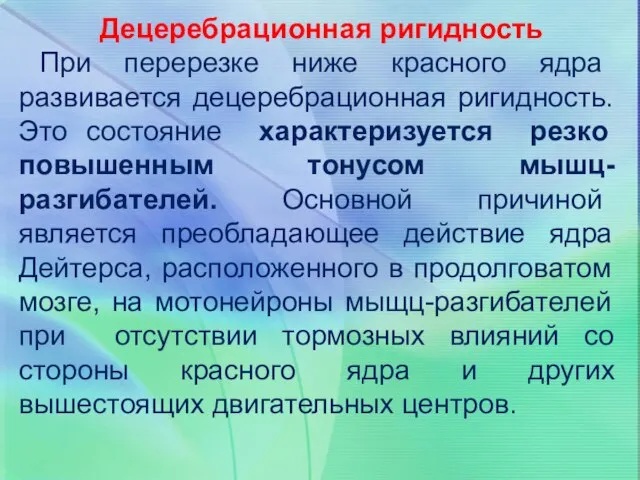 Децеребрационная ригидность При перерезке ниже красного ядра развивается децеребрационная ригидность. Это состояние