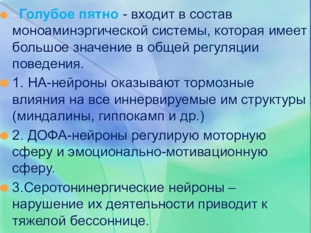 - Голубое пятно - входит в состав моноаминэргической системы, которая имеет большое