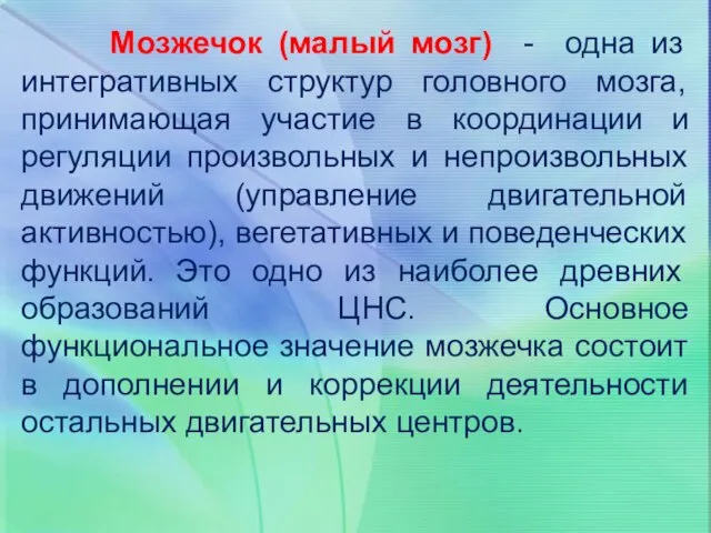 Мозжечок (малый мозг) - одна из интегративных структур головного мозга, принимающая участие