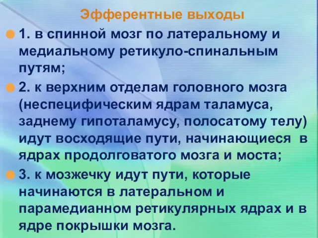 Эфферентные выходы 1. в спинной мозг по латеральному и медиальному ретикуло-спинальным путям;