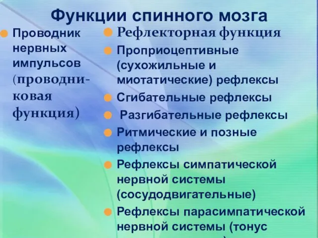 Функции спинного мозга Проводник нервных импульсов (проводни-ковая функция) Рефлекторная функция Проприоцептивные (сухожильные