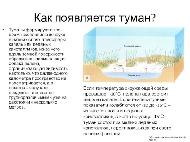 Как появляется туман? Туманы формируются во время скопления в воздухе в нижних