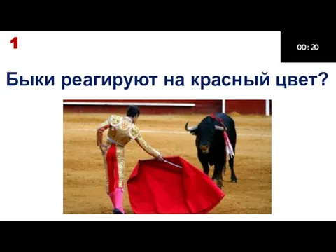 Быки реагируют на красный цвет? 1