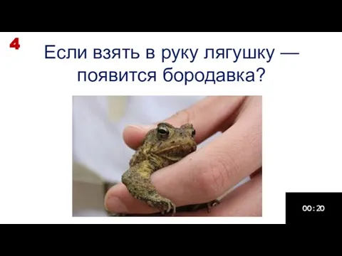 Если взять в руку лягушку — появится бородавка? 4