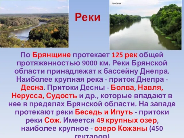 Реки По Брянщине протекает 125 рек общей протяженностью 9000 км. Реки Брянской