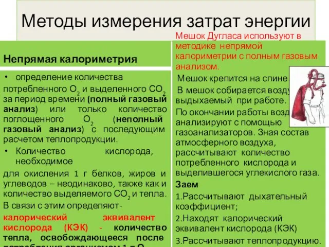 Методы измерения затрат энергии Непрямая калориметрия определение количества потребленного О2 и выделенного