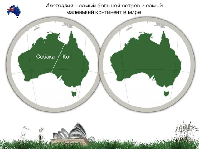 Собака Кот Австралия – самый большой остров и самый маленький континент в мире.