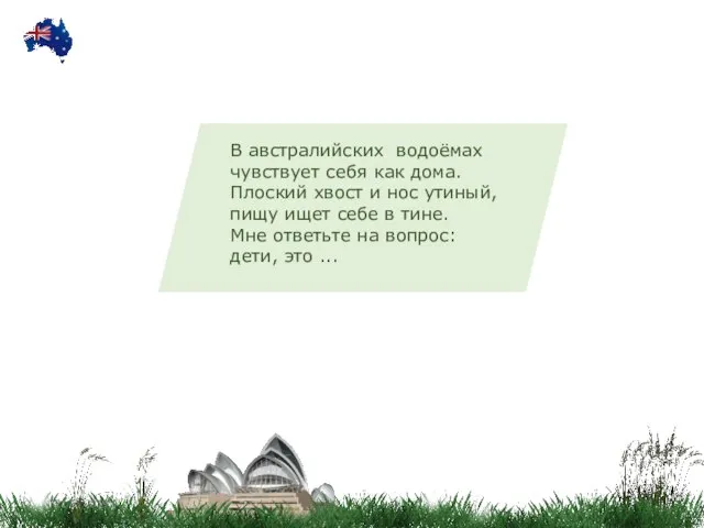 В австралийских водоёмах чувствует себя как дома. Плоский хвост и нос утиный,