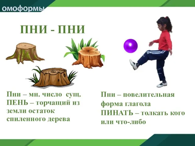 ПНИ - ПНИ Пни – мн. число сущ. ПЕНЬ – торчащий из