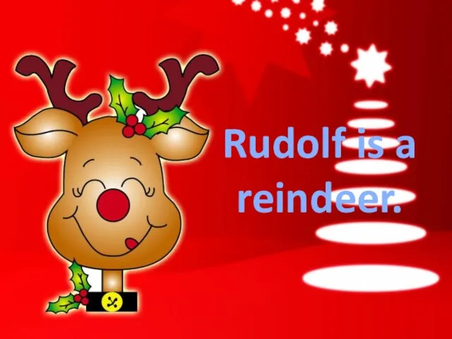 Rudolf is a reindeer.