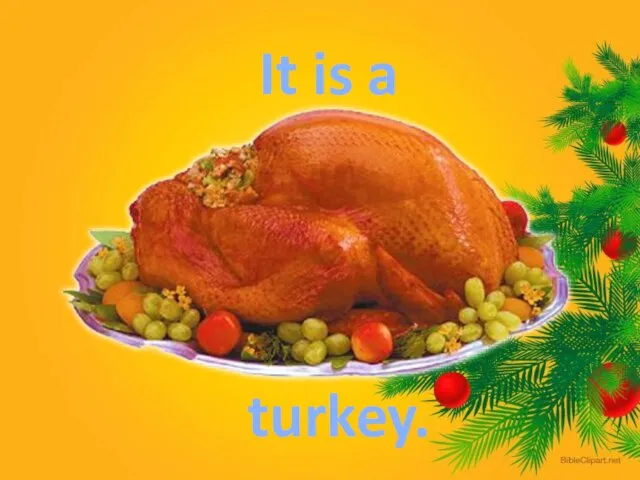 It is a turkey.