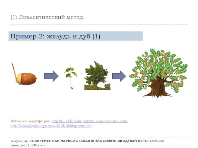 Пример 2: желудь и дуб (1) Источник иллюстраций: http://ru.123rf.com, http://ru.depositphotos.com/, http://cklassj2psk.blogspot.ru/2013/10/blog-post.html (1)