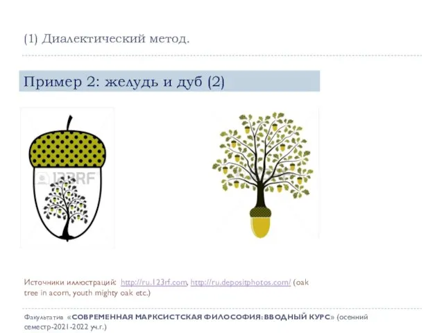 Пример 2: желудь и дуб (2) Источники иллюстраций: http://ru.123rf.com, http://ru.depositphotos.com/ (oak tree