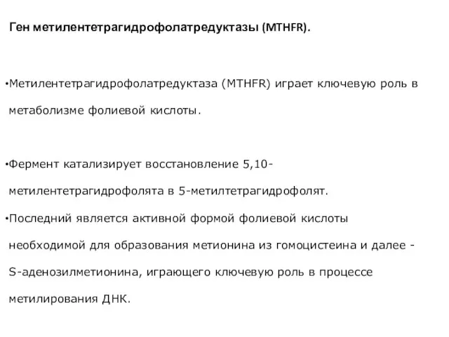 Ген метилентетрагидрофолатредуктазы (MTHFR). Метилентетрагидрофолатредуктаза (MTHFR) играет ключевую роль в метаболизме фолиевой кислоты.