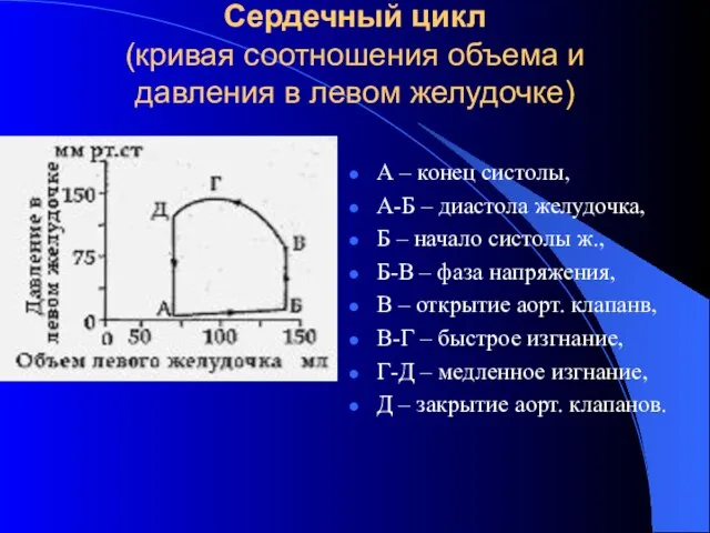 Сердечный цикл (кривая соотношения объема и давления в левом желудочке) А –