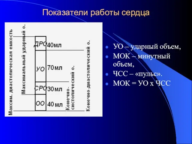 Показатели работы сердца УО – ударный объем, МОК – минутный объем, ЧСС