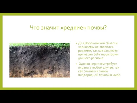 Что значит «редкие» почвы? Для Воронежской области черноземы не являются редкими, так