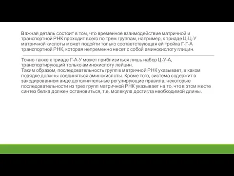 Важная деталь состоит в том, что временное взаимодействие матричной и транспортной РНК