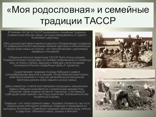 «Моя родословная» и семейные традиции ТАССР В течении 100 лет в ТАССР