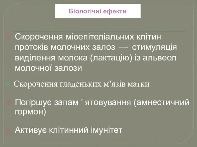 Біологічні ефекти Скорочення гладеньких м’язів матки Скорочення міоепітеліальних клітин протоків молочних залоз