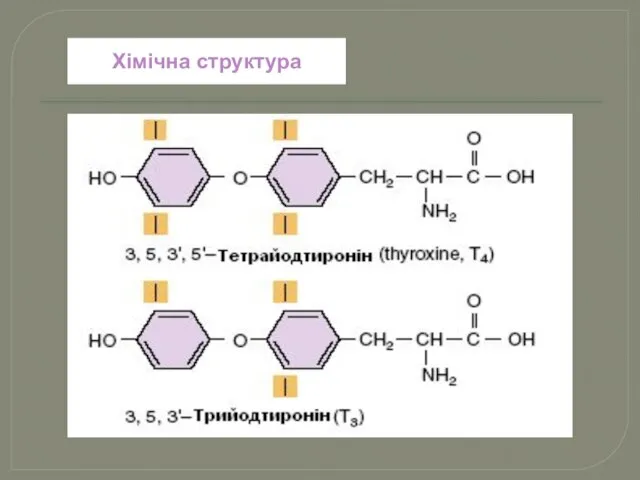 Хімічна структура