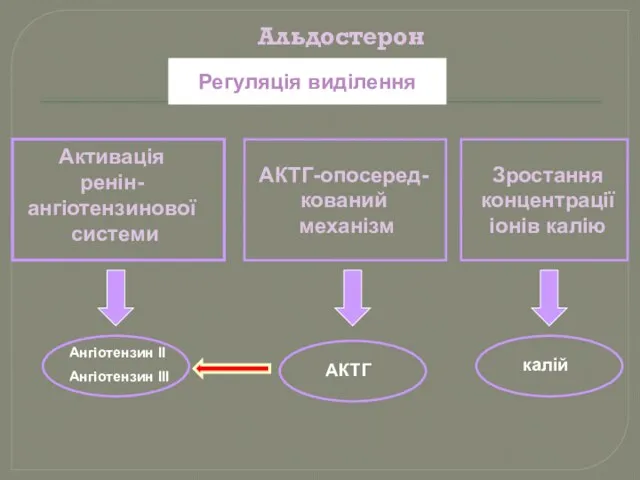 Альдостерон Регуляція виділення Активація ренін- ангіотензинової системи АКТГ-опосеред- кований механізм Зростання концентрації