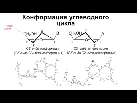 *Пятый атом*