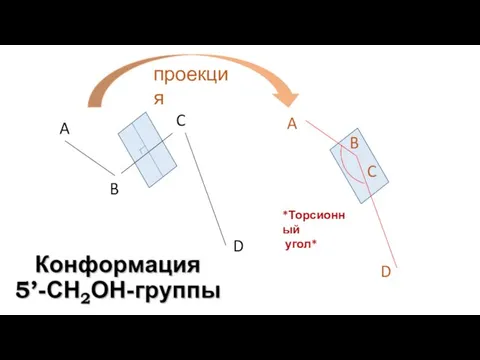 A B C D проекция A B D C *Торсионный угол*