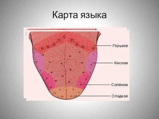 Карта языка