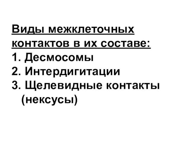 Виды межклеточных контактов в их составе: 1. Десмосомы 2. Интердигитации 3. Щелевидные контакты (нексусы)