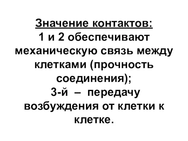 Значение контактов: 1 и 2 обеспечивают механическую связь между клетками (прочность соединения);