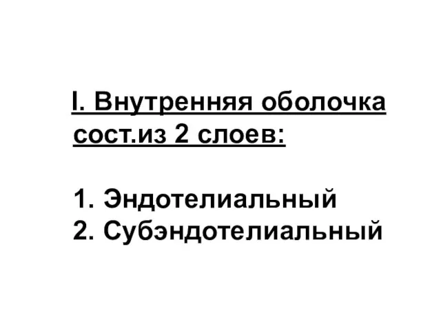 I. Внутренняя оболочка сост.из 2 слоев: 1. Эндотелиальный 2. Субэндотелиальный